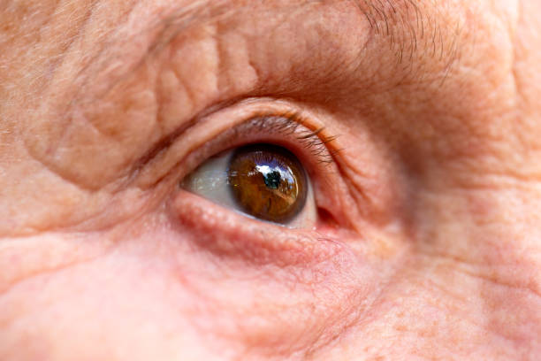 istock Closeup 70 yearst old woman brown eye, copy space 1203619864