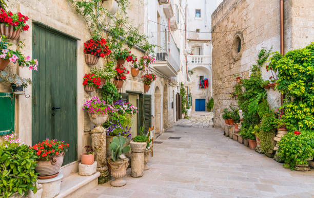 Scenic summer sight in Monopoli, Bari Province, Puglia (Apulia), southern Italy. Scenic summer sight in Monopoli, Bari Province, Puglia (Apulia), southern Italy. bari photos stock pictures, royalty-free photos & images