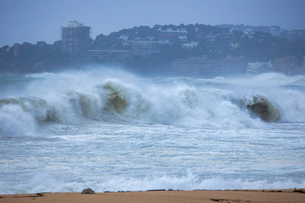 istock Big waves on the ocean in a cloudy cold winter day. 1203622518