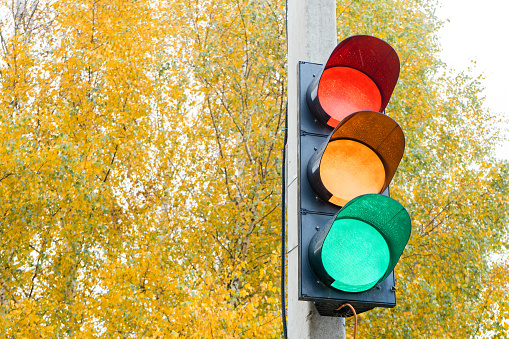 installed on cement pole in city near Park traffic light with lights on.