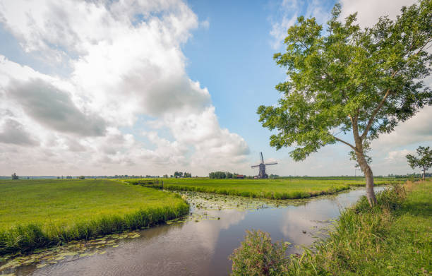 paisaje pintoresco del pólder holandés - alblasserwaard fotografías e imágenes de stock