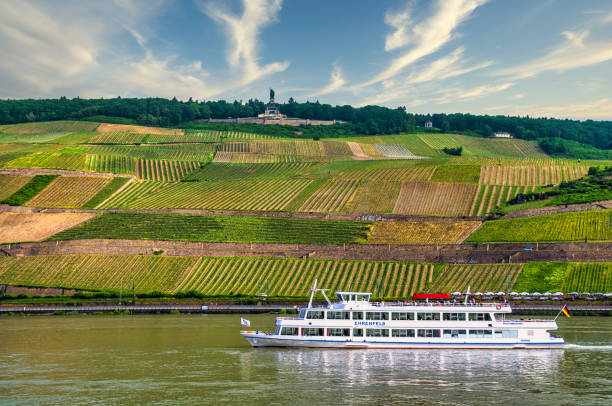 Rüdesheim am Rhein, Germany-May 21, 2016- The white Ehrenfels tour boat with passengers on the top deck, sails past vineyard covered hillsides and the massive statue Niederwalddenkmal  otherwise known as Germania