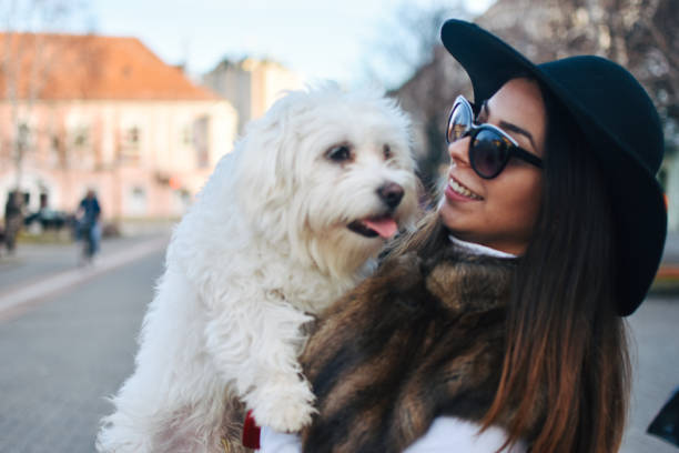 istock Attractive Girl and White Puppy 1203627497