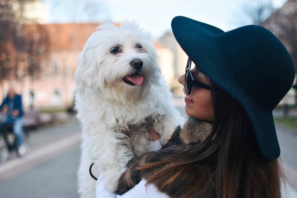 istock Attractive Girl and White Puppy 1203627504