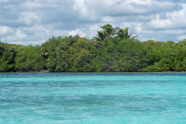 istock Caribbean Dream - turquoise water in Yucatan 1203627844