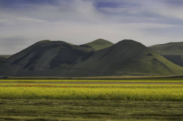 фиорита ди кастелуччио - apennines beauty in nature grass plateau стоковые фото и изображения