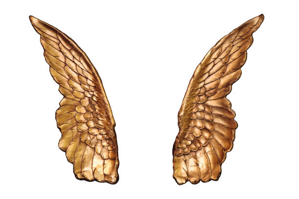 istock Two large Golden wings isolated on a white background 1203632503