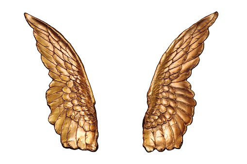Two large Golden wings isolated on a white background