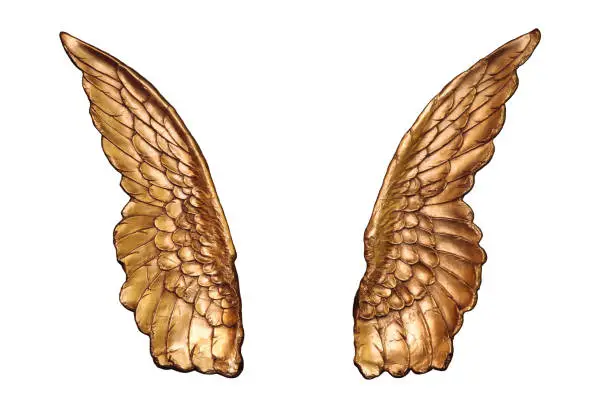 Photo of Two large Golden wings isolated on a white background
