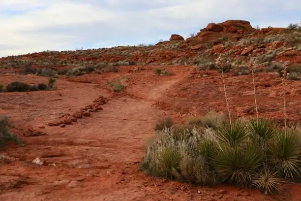 Red sand hiking trail in St George Utah