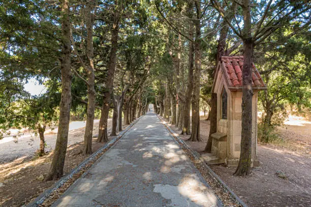 Path through cedar trees archway with small calvary stations in Monastery of Filerimos (Rhodes, Greece)