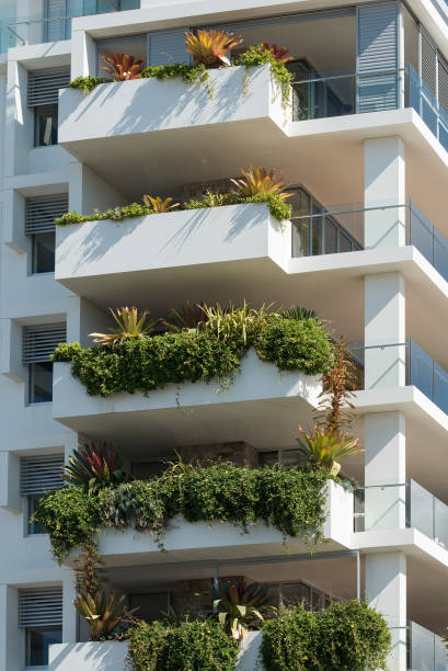 istock Tall white building with lush green plants 1203642358