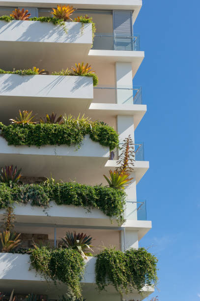 istock Tall white building with fresh green plants hanging from the balconies 1203642361