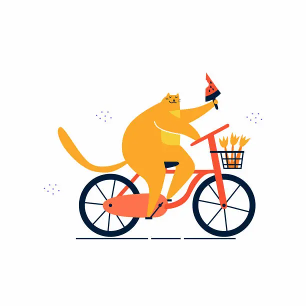Vector illustration of Cat with watermelon ice cream rides on bicycle. Outdoor sports trip. Fitness lifestyle theme. Design elements for cards, posters, t shirt.