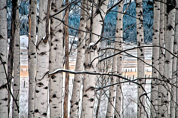 istock Illustration of Winter Bare Poplar Tree Branches 1203644978