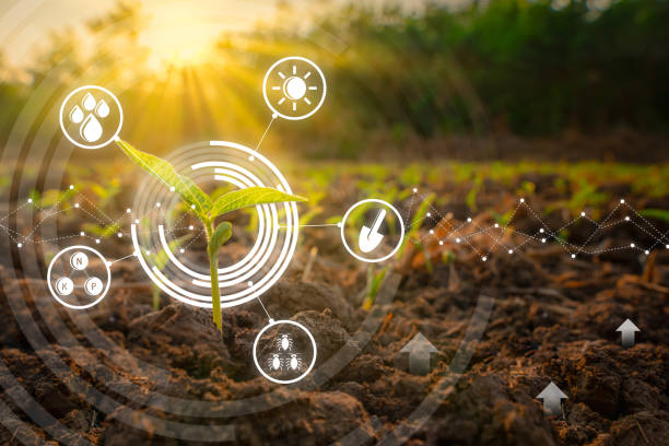 농업 정원에서 묘목 녹두에 의해 현대 기술 개념 - agriculture bud crop growth 뉴스 사진 이미지