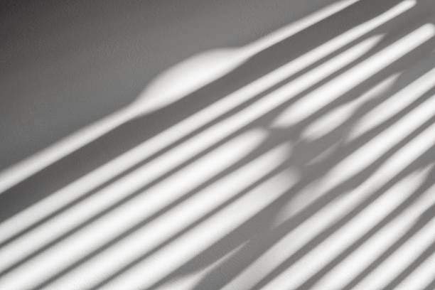 istock shadow batten of lath on white concrete wall 1203647017