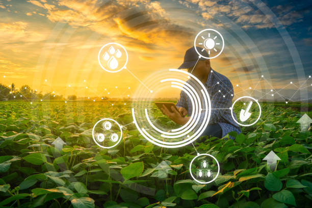 istock agriculture technology concepts by the farmer using smartphone in mung bean garden 1203647030