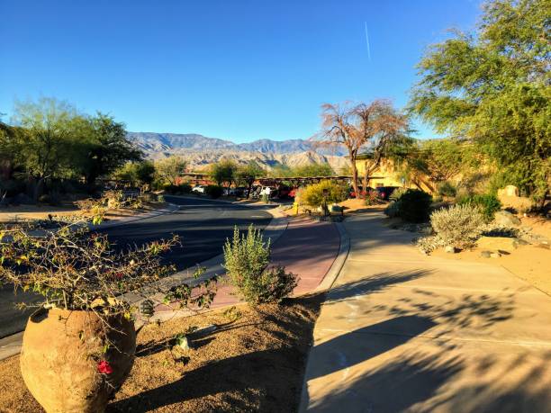 istock A beautiful view of a desert setting looking down a road and sidewalk with cactus and plants all around, and the mountains in the background, in palm springs, California, united states 1203650554