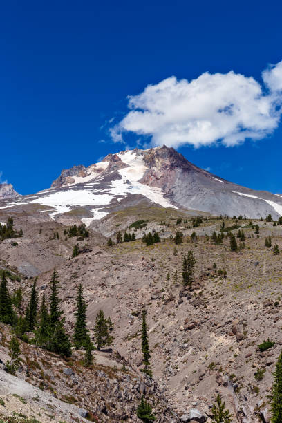 istock Mt. Hood, Oregon scenic summer landscape 1203654104