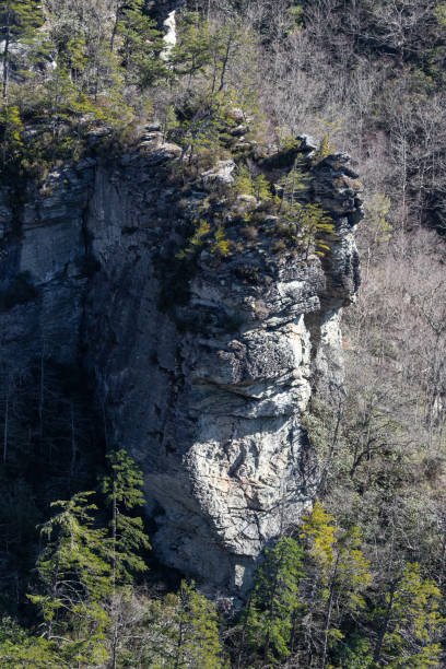 린빌 협곡에서 하이킹, 노스캐롤라이나 - blue ridge mountains north carolina pine tree hiking 뉴스 사진 이미지