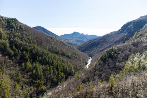 린빌 협곡에서 하이킹, 노스캐롤라이나 - blue ridge mountains north carolina pine tree hiking 뉴스 사진 이미지