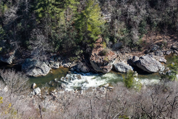 린빌 협곡에서 하이킹, 노스캐롤라이나 - blue ridge mountains north carolina pine tree hiking 뉴스 사진 이미지