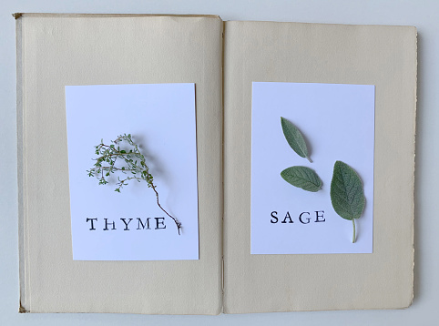 Fresh herbs with words on white paper on aged book pages