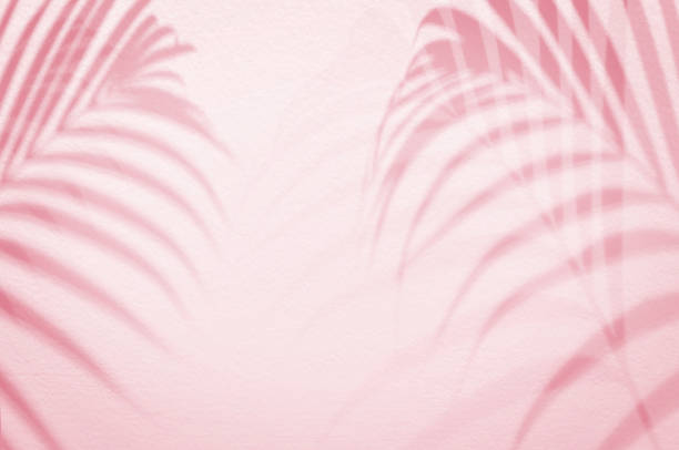 istock Light and shadow palm leaves on light pink,pastel color grunge wall concrete background.Silhouette flat lay abstract tropical leaf natural pattern summer texture with copy space.Soft image backdrop. 1203664106