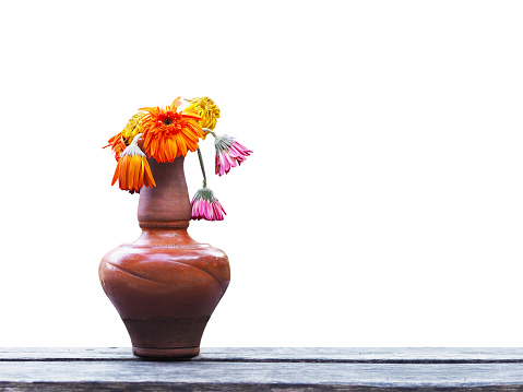 Wilted Gerbera flower in brown vase on wooden table over white background.