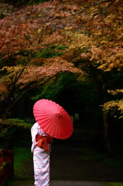 woman in old fashion style wearing traditional or original Japanese dressed, walks in the middle of street of the village garden autumn park, japan old fashion style attractive in season change