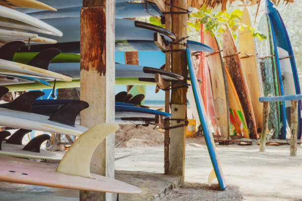 istock Colorful surf boards in shop for rent 1203668540
