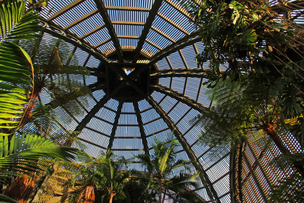 istock Top of the Dome 1203669915