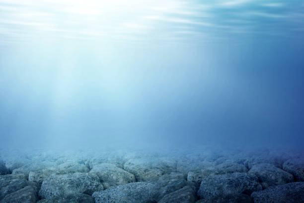 istock Underwater view of blue water and sunlight 1203671984