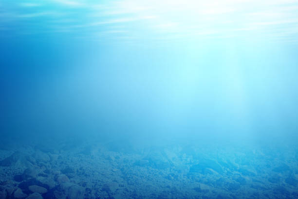 istock Underwater view of blue water and sunlight 1203672193