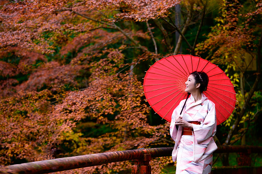 woman girl holding umbrella in old fashion style wearing traditional or original Japanese dressed, walks in the middle of street of the village garden autumn park, travel and visit japan