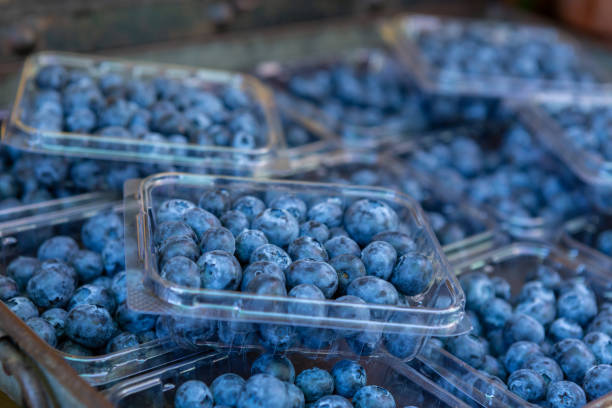 Punnets of blueberries