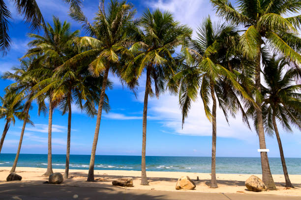 istock Beach Ban Krut Beach with  more coconut at  Prachuap Khirikhun Province 1203679600