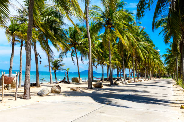 istock Beach Ban Krut Beach beautiful with coconut 1203679658
