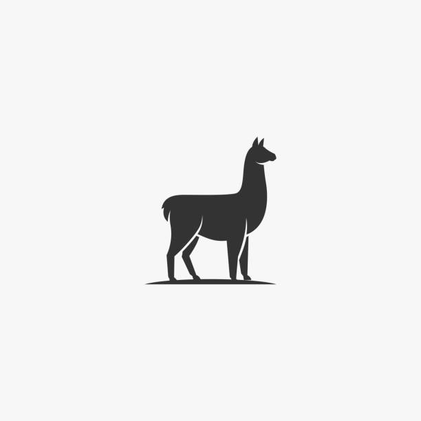 bildbanksillustrationer, clip art samt tecknat material och ikoner med vektor illustration alpacas elegant silhouette style. - lama kameldjur