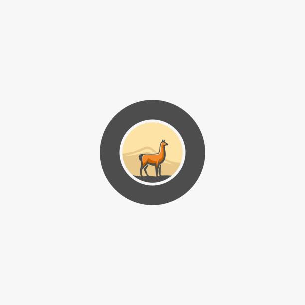 bildbanksillustrationer, clip art samt tecknat material och ikoner med vektor illustration alpacas elegant vintage badge. - däggdjur illustrationer