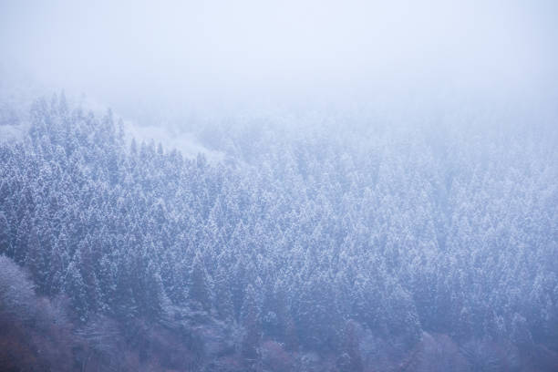 Japan akita winter season