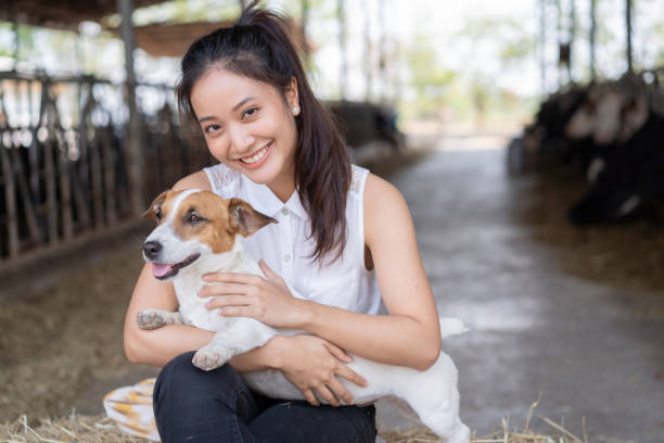 istock Cow farmer with her dog 1203684063