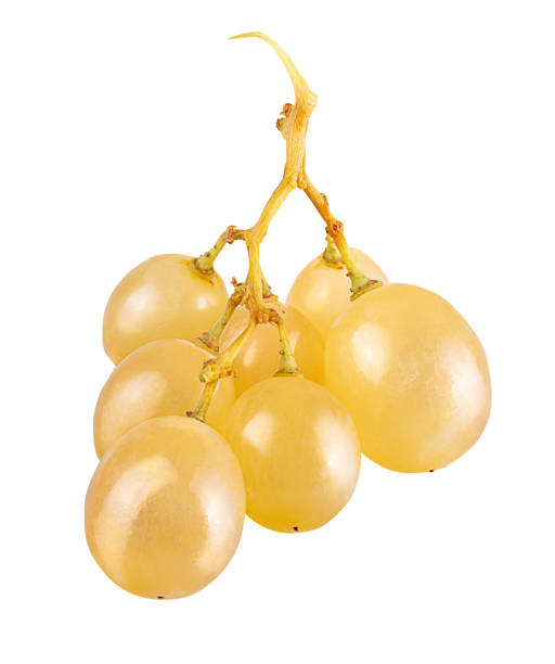 istock Bunch of white grapes with leaves isolated on white 1203684309