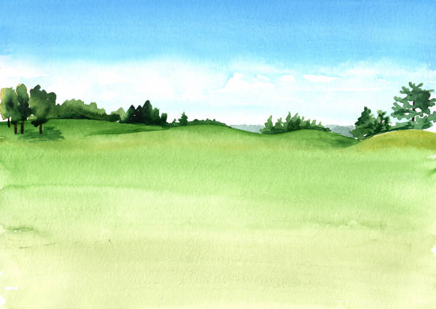 풍부한 잔디와 아름 다운 녹색 필드의 보기입니다. 손으로 그린 수채화 일러스트와 배경 - golf course illustrations stock illustrations