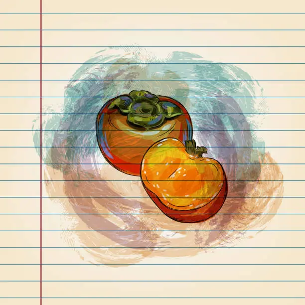 Vector illustration of Persimmon Drawing on Ruled Paper