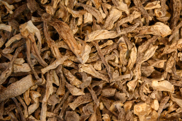 istock Dried velvet mushrooms 1203688499