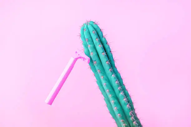 Concept of woman female shaving: pink razer on a pink background shave a cactus, copy space, advertizing, coupon flyer creative idea, hygiene bodycare, depilation equipment