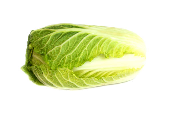 istock Fresh Chinese cabbage From the garden 1203693889