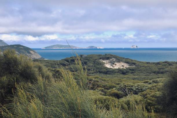 istock Wilson Promontory National, Australia 1203694827